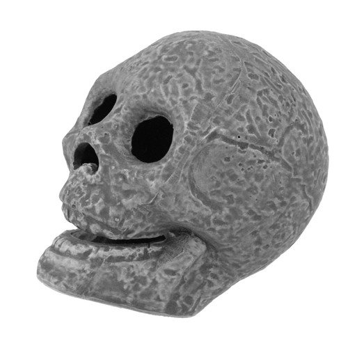Registro del cranio umano - cranio,