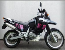 Manuali di officina Suzuki DR