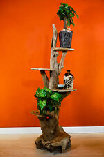 Scale per Fiori Teak Radica Legno Massello Legno Scala per Piante Porta Fiori