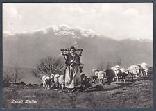 BIELLA PASCOLI BIELLESI - COSTUME - PASTORE Cartolina FOTOGRAFICA