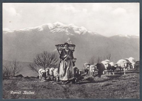 Biella pascoli biellesi - biella,