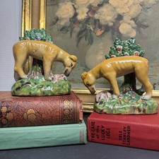 Coppia antichi cani da caccia