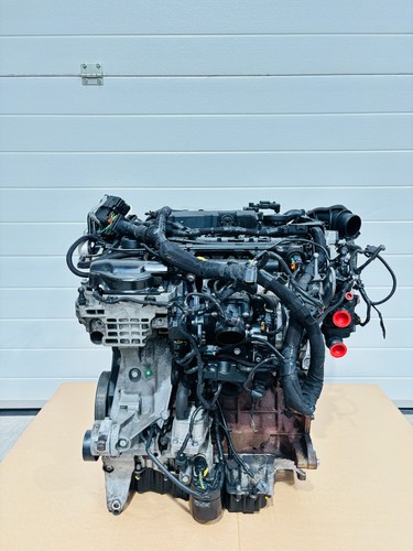 Motore ford kuga - motore,