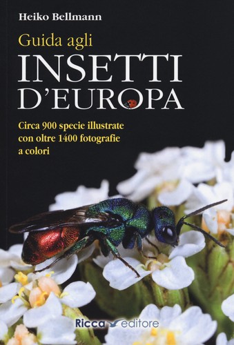 Guida agli insetti europa - agli, d'europa