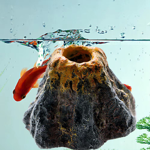 1pz acquario pesciera - 1pz,