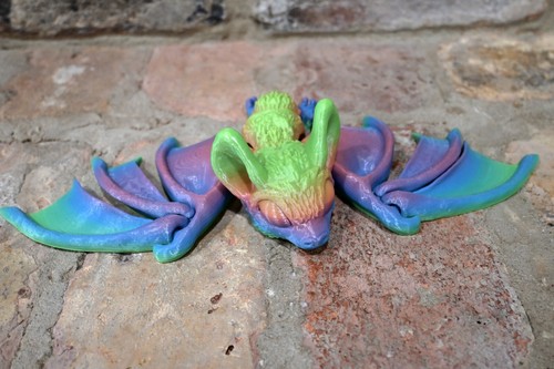 Piccolo pipistrello stampato