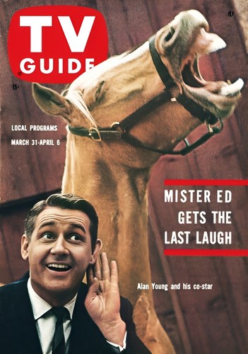 Talking horse tv - mr.,
