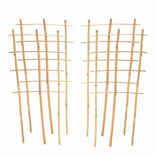 Bambusspalier 60cm supporto - 4x,