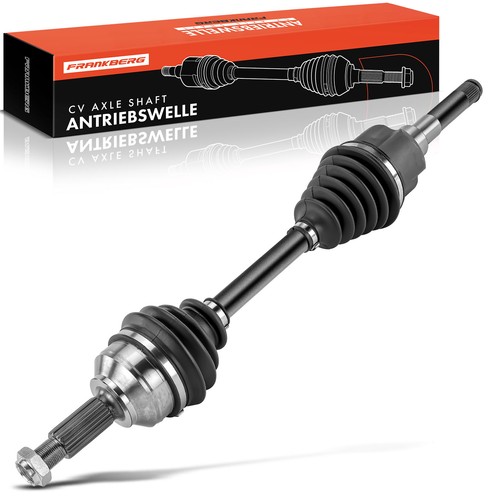 Frankberg semiasse anteriore - semiasse,