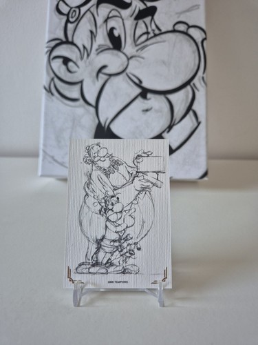 Panini asterix sine tempore - panini,