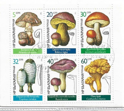 Bulgaria micologia setas serie - bulgaria,