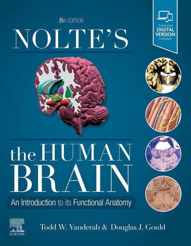 Nolte the human brain - nolte's,