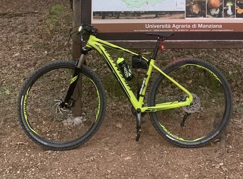 Bici mountain bike - mountain,