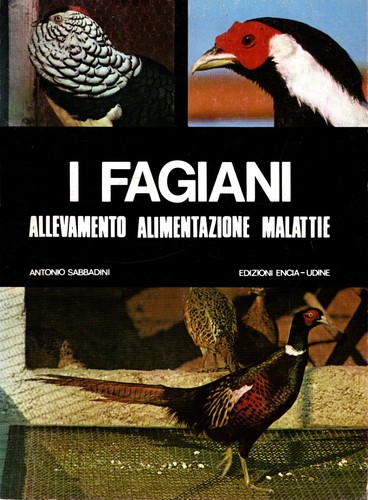Fagiani allevamento - fagiani,