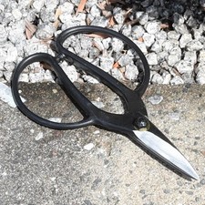 Hasami Masamune Forbici da