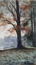 Nane Bragadin ( Venezia 1879 -