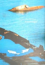 Avviso naviganti ediz - avviso,