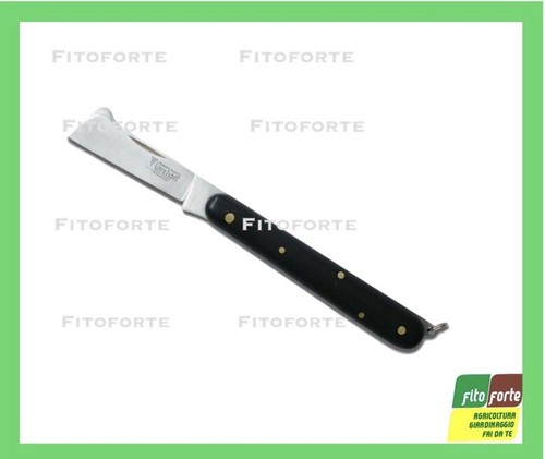 Coltello innesto luca - coltello, de