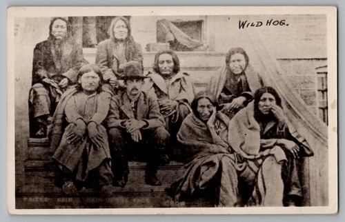 Wild hog others cheyenne - hog, &