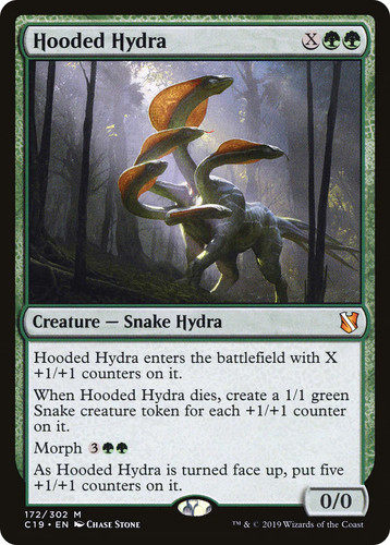 Hydra con cappuccio