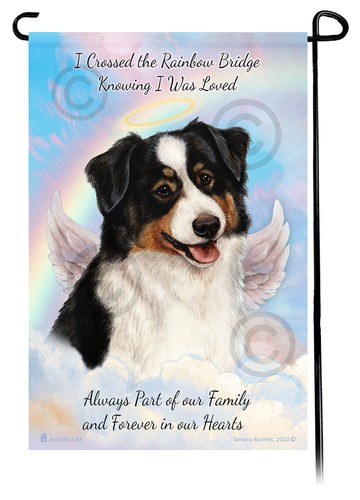 Australian shepherd black - australian, tri