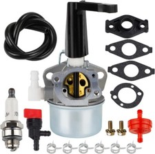696065 Carburatore per Briggs