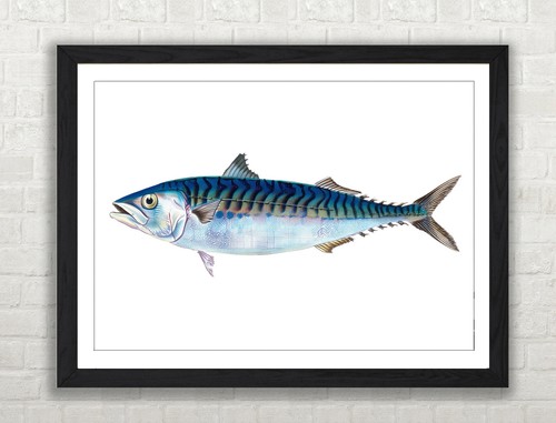 Stampa illustrazione pesce