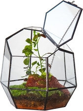 19 cm Terrario geometrico a