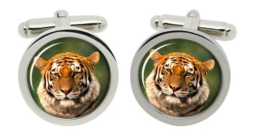 Gemelli tigre siberiana - tigre,