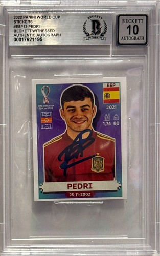 2022 panini fifa sticker - 2022, wc