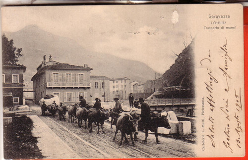 Cartolina seravezza - cartolina,