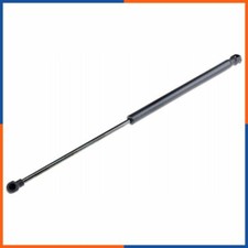 Molla a gas del portellone per