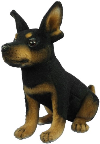 Bh8423 hansa pinscher - hansa,