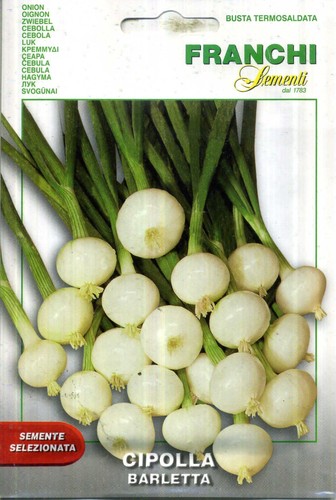 Sementi ortaggi qualita - di,