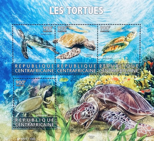 Central africa sea turtles - central,