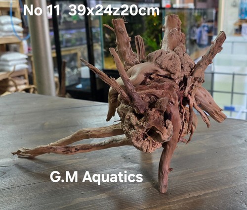 Acquario acquascape - acquario,