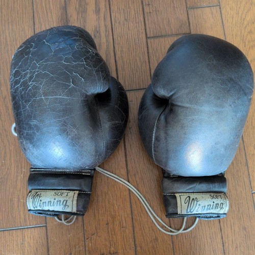 Guantoni boxe vincenti - guantoni,