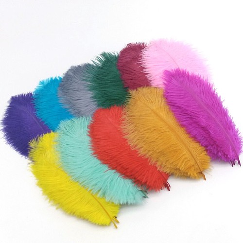 Colorata piume struzzo - x,