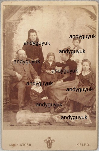 Cabinet card nisbet family - card,