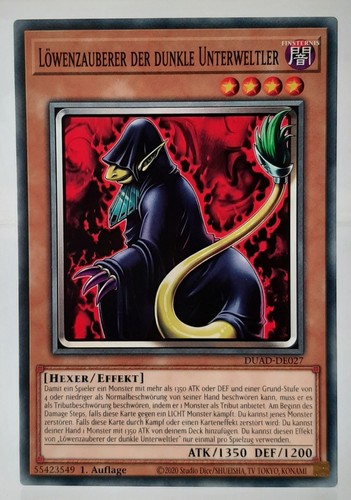 Playset mago leone - 3x, degli