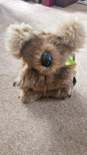 Orso koala pelliccia di - in,