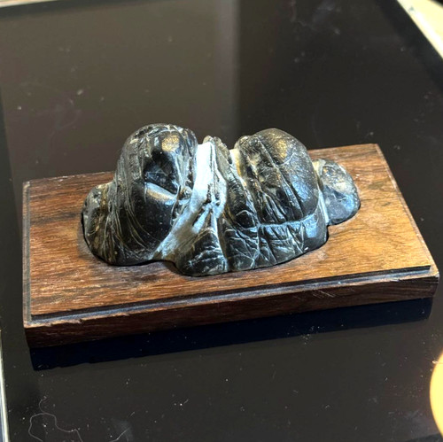 Una pietra bonsai suiseki - pietra, di