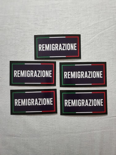 Remigrazione adesivi vannacci - remigrazione,