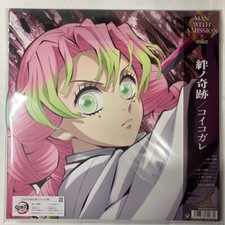 Demon slayer vinyl record - demon,