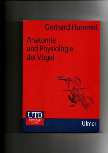 Gerhard hummel anatomie und - hummel,,