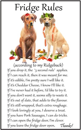 Rhodesian ridgeback regole - rhodesian,