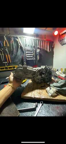 Motore pit bike - motore,