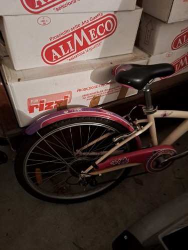 Bicicletta bambina usata - bicicletta,