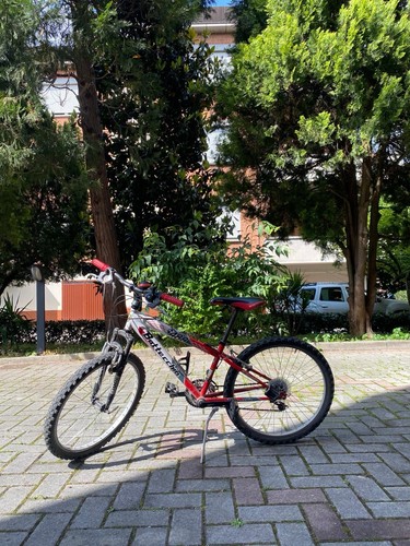 Bottecchia 488