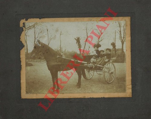 Calesse con cavallo - , e